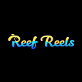 Reef Reels Casino